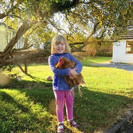 Heatherhill Farm Cottage In Letterfrack Beside Connemara National Park Bagian luar foto